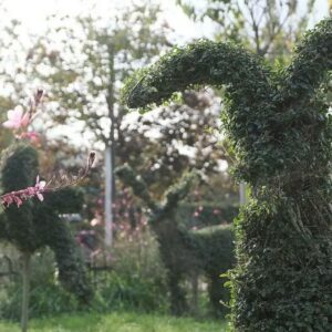 Özgürlük Parkı Kadıköy