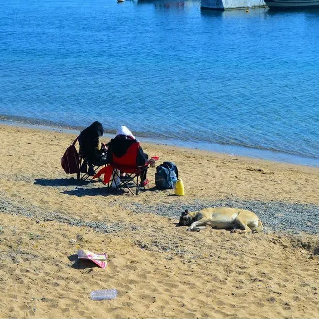 Suadiye Plajı Erenköy Halk Plajı
