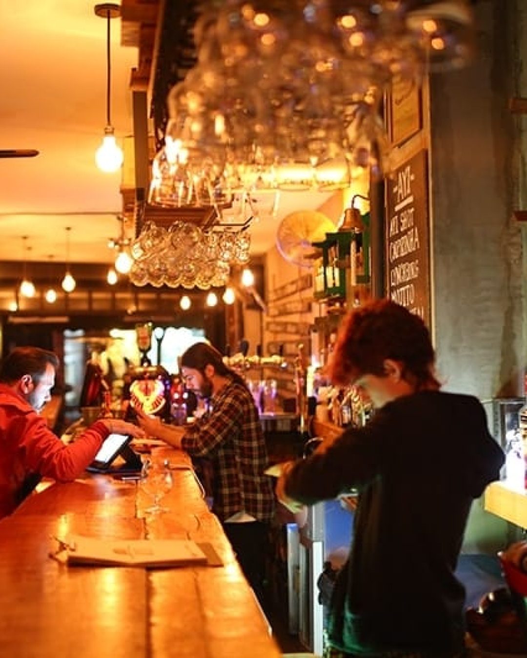 Ayı Bar Disko Restoran