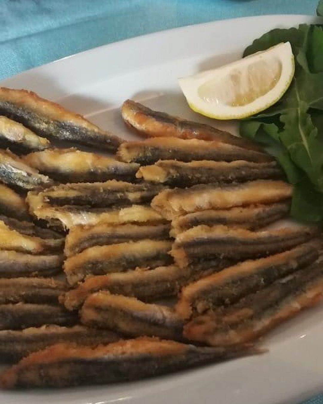 Kadıköy Balıkçısı Balık Restoranı