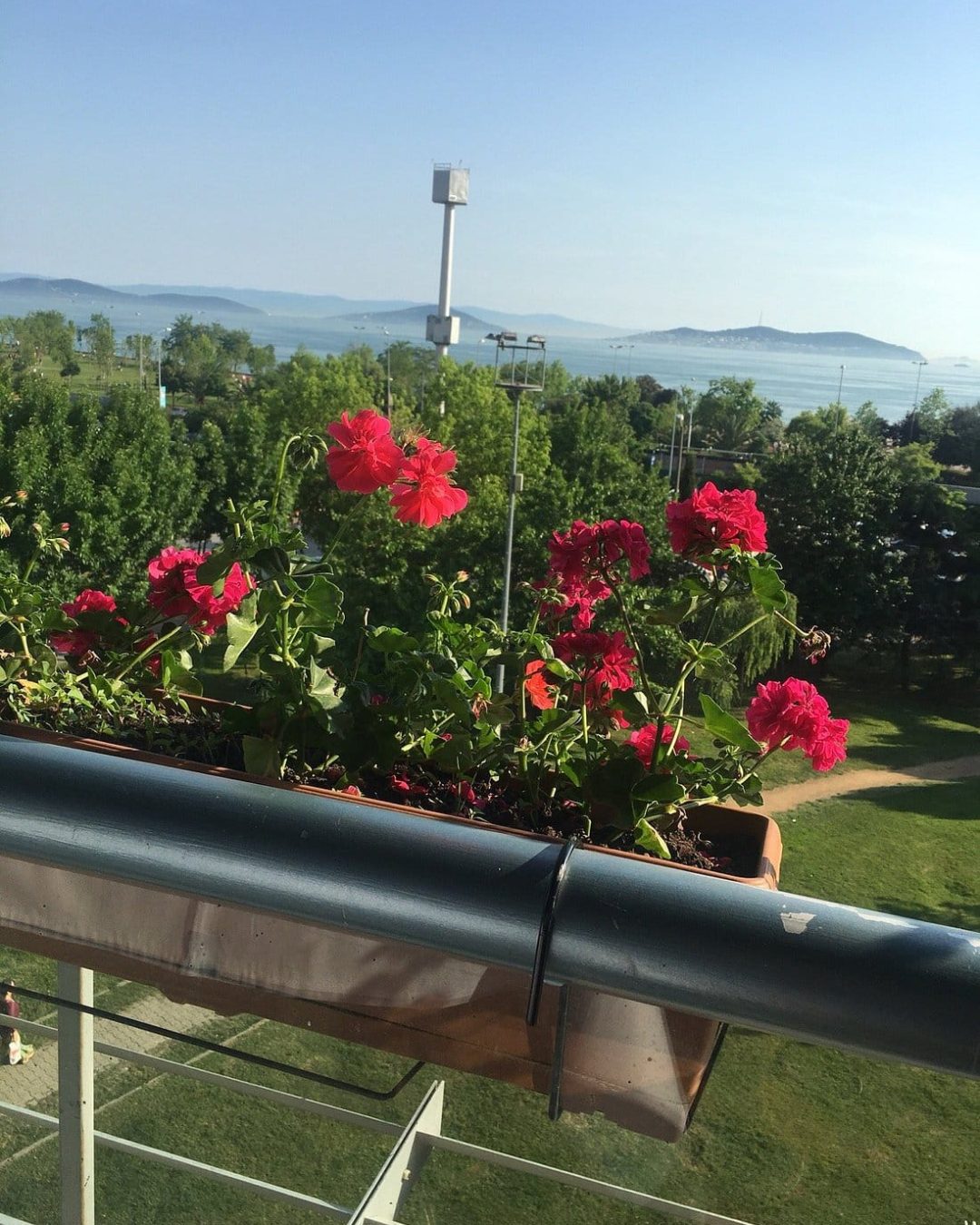 Saltator Balık Meze